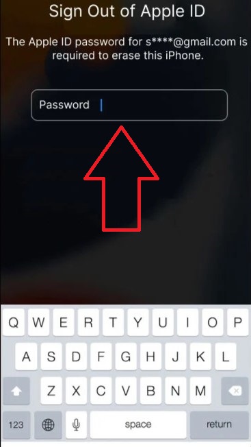 Enter the password for your Apple ID