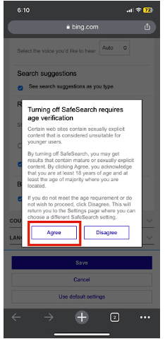 Tap on Agree- turn off safe search on iPhone