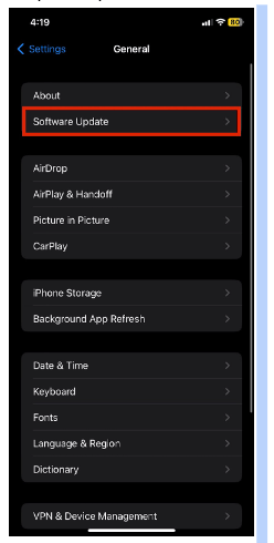 Tap on the Software Update option