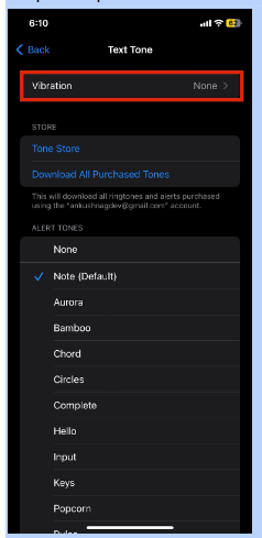 Tap on the “vibration” option