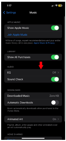 Under the audio section, tap on “EQ.”
