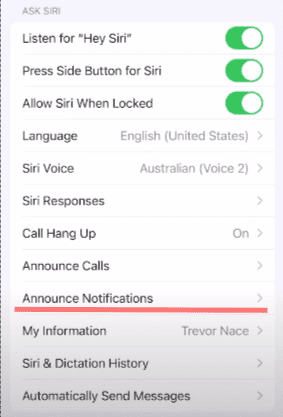 Select the Announce Notifications option.