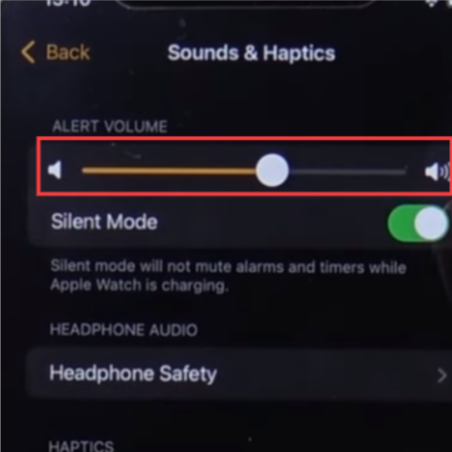 decrease the volume- Silence The Apple Watch