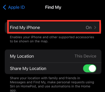 Select Find My iPhone