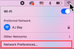 Select the “Network Preference…” option