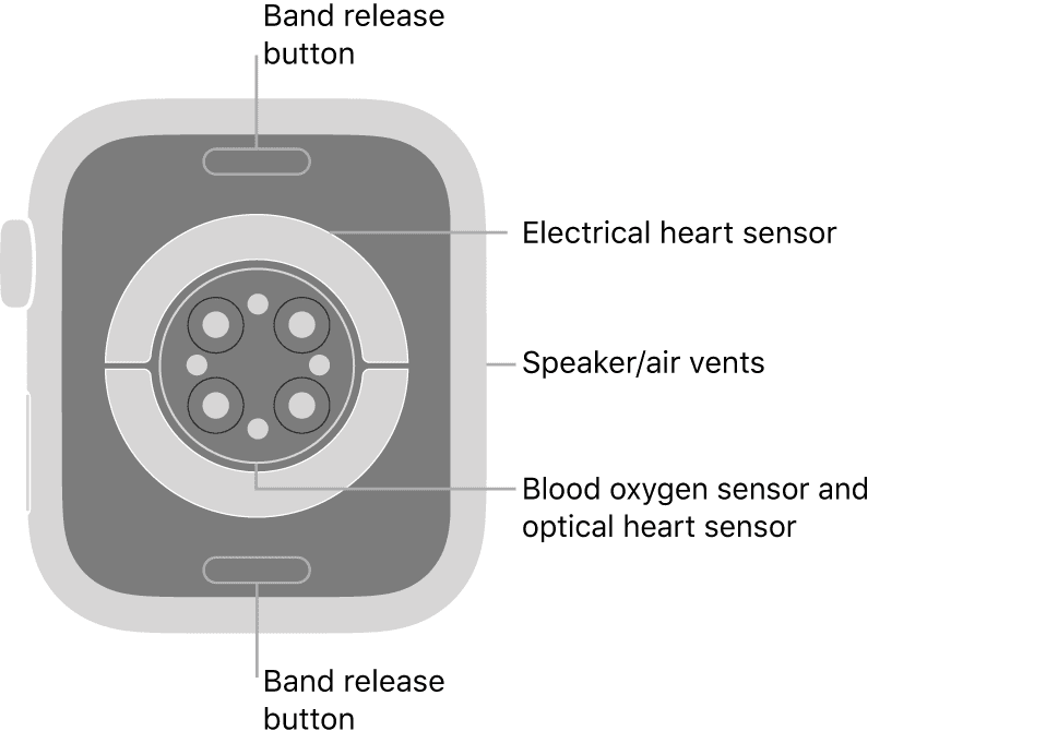 Undesired effects of heart of the Apple Watch