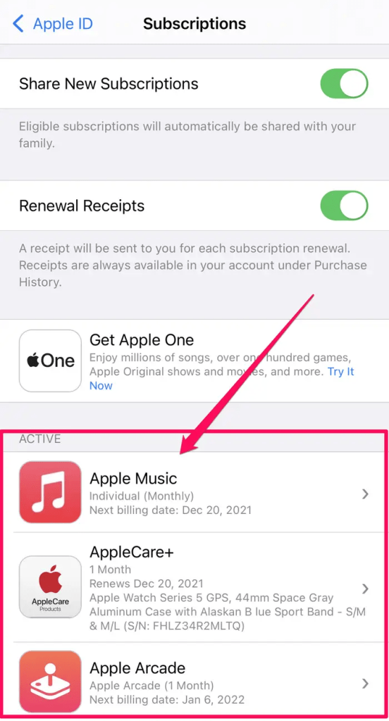  select Apple Music
