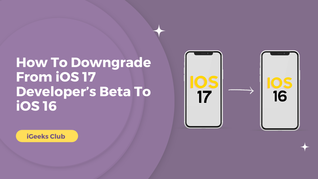 How To Downgrade From iOS 17 Developer’s Beta To iOS 16
