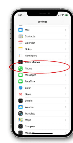stop spam calls on iphone- Select the phone option