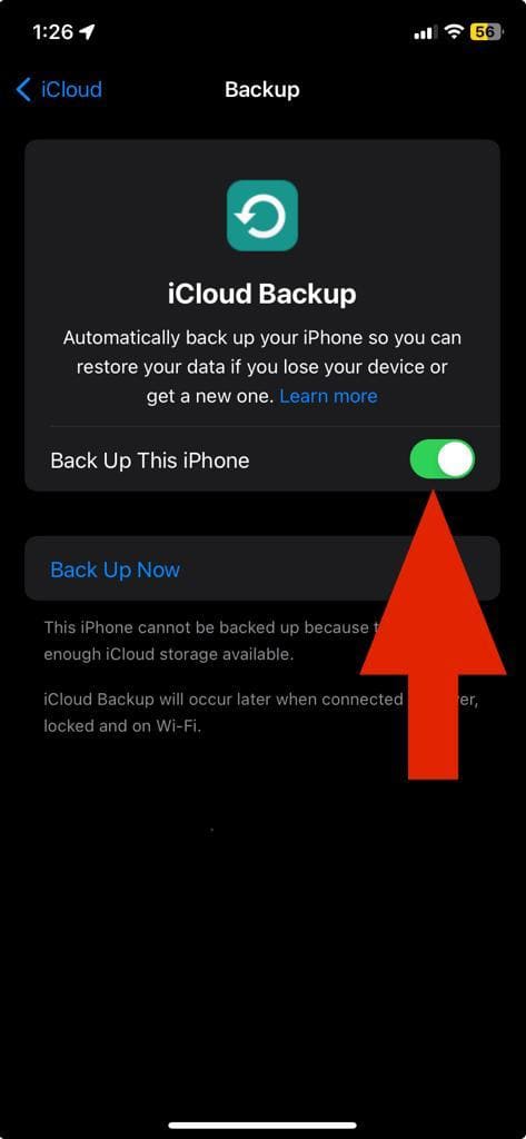 Turn on the “Back Up This iPhone” switch